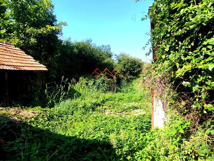 CASĂ DE VÂNZARE | 1.486 MP TEREN | URLETA