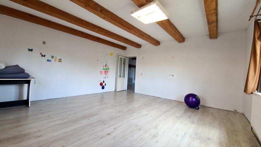 CASA DE VANZARE PODUL OLTULUI CU ACCES PRIVAT