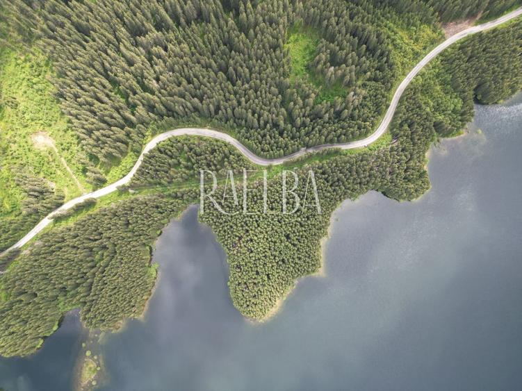 7831mp Padure | 1200mp construbili | 5.min Partie Transalpina | 177m Lac Vidra