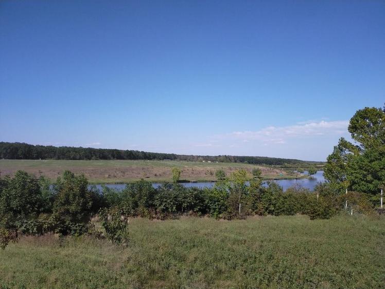 TEREN INTRAVILAN 1950 MP MOARA VLASIEI LA LAC