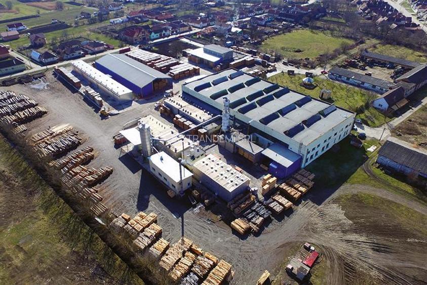 Hala industriala de 2700mp cu 3,1 ha teren intravilan in Miercurea Sibiului - 6