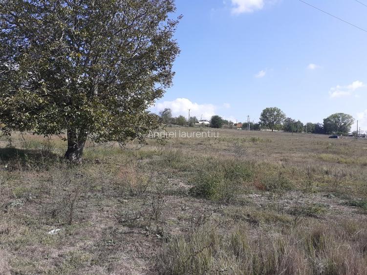 OCAZIE:Teren intravilan Tulcea-19euro/m.p. - 4