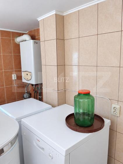 Casă renovată cu farmec istoric, livadă și 3.600 mp de teren | Teiș - 7