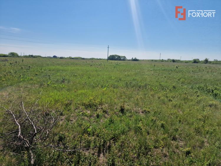 Teren de 5000 mp de vanzare in Mosnita Veche