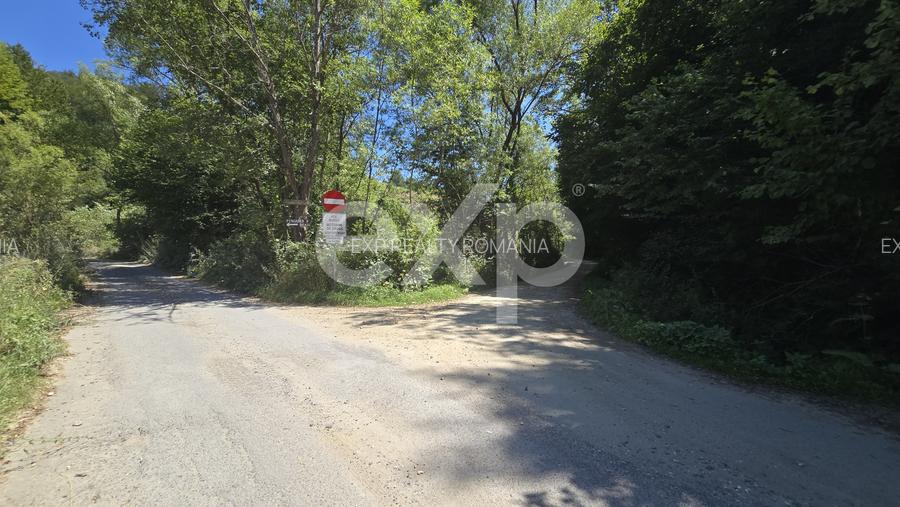 36.200 mp teren | Poiana Mărului | Platou | Apă și curent | 1 km de Sergiana - 9
