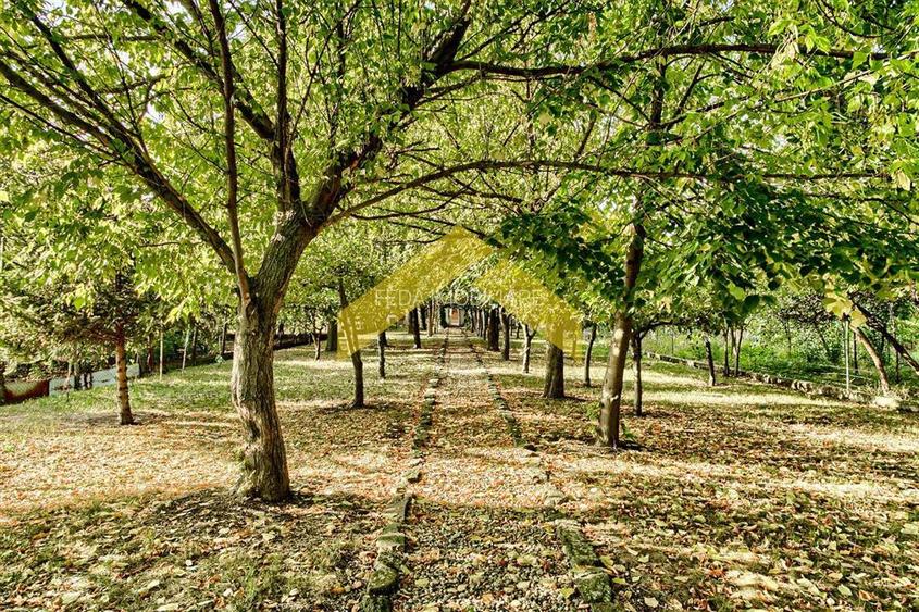 Casa cu teren 1,500 mp de vanzare in Gradiste - 8