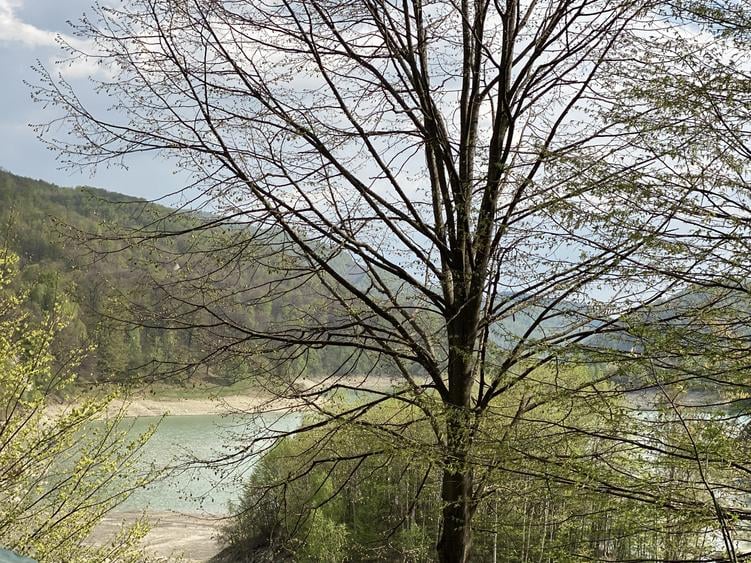 Teren plat cu deschidere la lacul Paltinu, acces facil, utilități