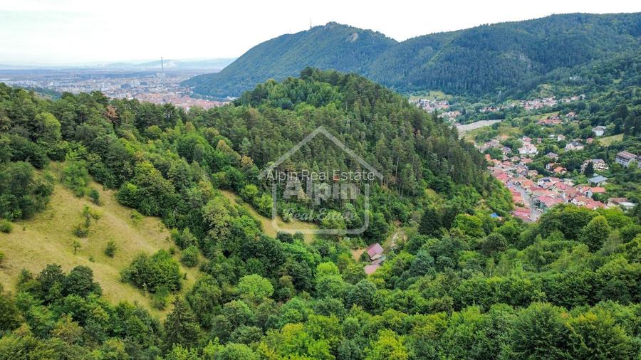 Teren Intravilan Schei Priveliste I Oportunitate Investitie - 13