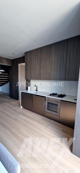 PENTHOUSE DUPLEX |CATEDRALA MANTUIRII NEAMULUI | ACCES PRIVAT DIN LIFT| et 6-7 - 19