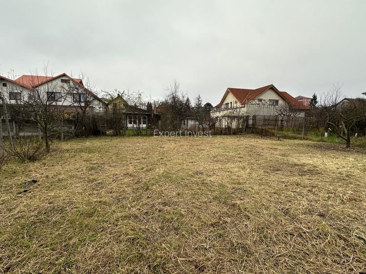 Casa 2 camere singur in curte - teren 900 mp - Sibiu - str. Nicolae Iorga - 14
