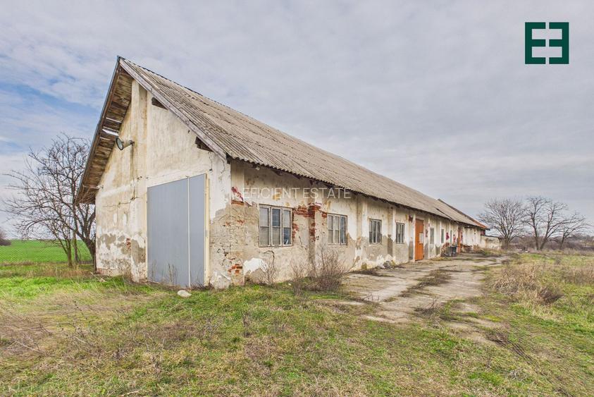 Teren de 8.632 mp + Proprietate Industrială - Voiteg - Județul Timiș - 22