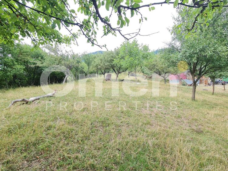 Teren de vânzare | Suprafață 10.040 mp | 2.500 € / ar | Strada Nucului