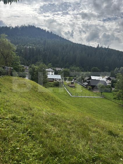 Teren intravilan de vânzare, 6500mp + o casă bătrânească, în Voroneț - 2