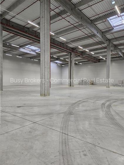 Spatiu Industrial - 7600 mp - Logistica - Productie - Depozitare - Distributie - 18