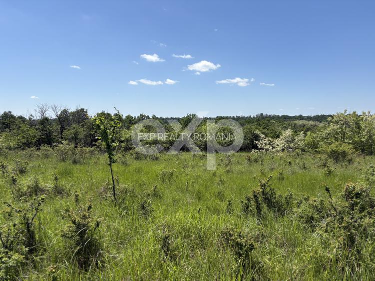 Intravilan 3015 mp Moșoaia | 48 ml deschidere | Lângă pădure - 6