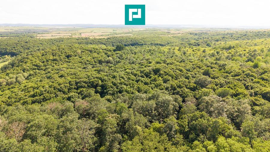 TEREN AGRICOL EXTRAVILAN 22.900 MP LIPOVA