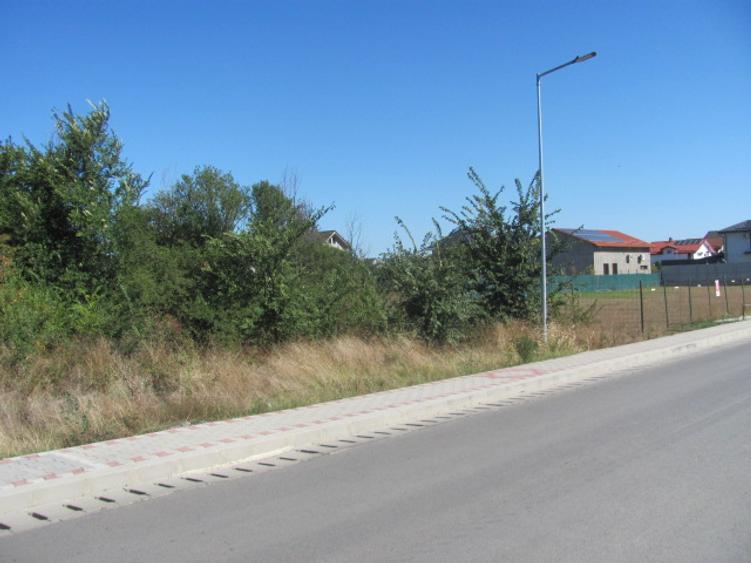 Prelungirea Ghencea, Safirului, Stradal