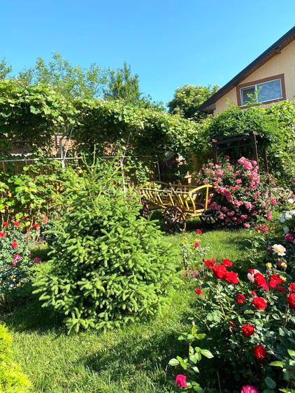 CĂLUGĂRENI-BRĂNIȘTARI-CASA PREMIUM-250 MP-COMISION 0%- 177.000 EUR - 2