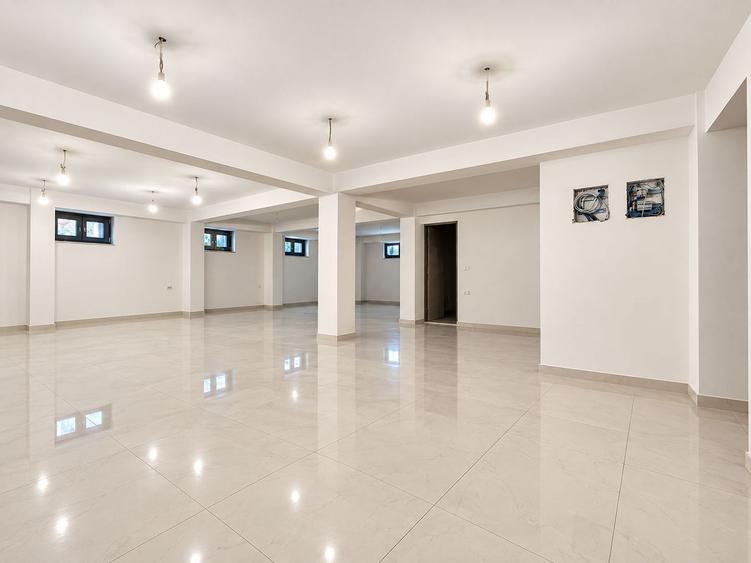Clădire reprezentativă de închiriat, 560 mp utili, zona Complex,