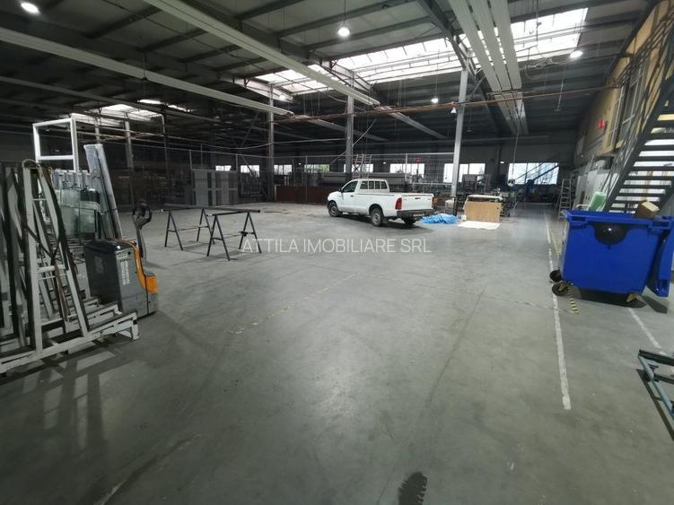 Hala Lugojului 1800 euro+TVA