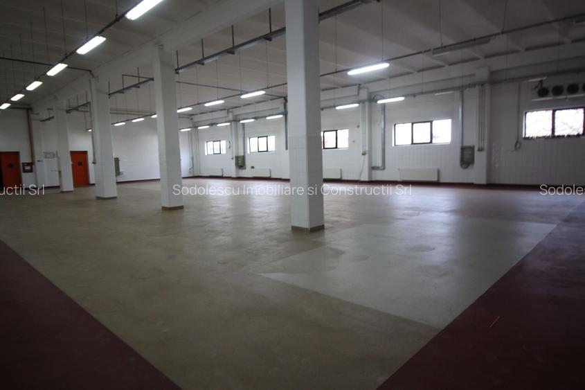 Hala productie    - Calea Torontalului de vanzare - 7