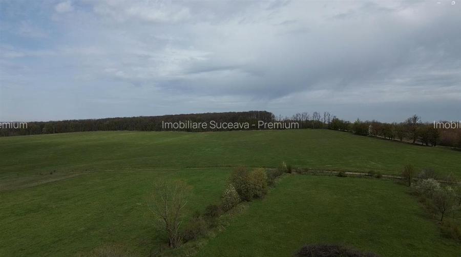 Teren intravilan de vânzare în Mitocu Dragomirnei | 5.800 mp | 43 m de - 4