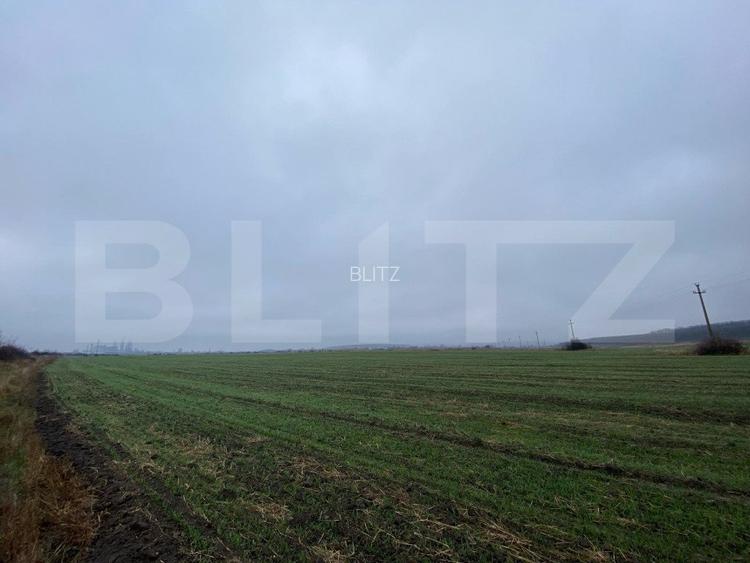 Teren intravilan industrial, 41.000 mp, front 117 m, Ișalnița - DE70 - 8