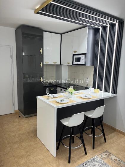 Apartament 2 camere de închiriat  - 7