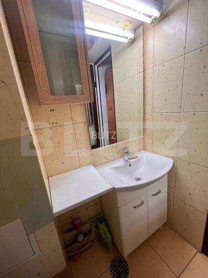 Apartament o camera, 30 mp, etaj intermediar, zona Podu Ros - 9