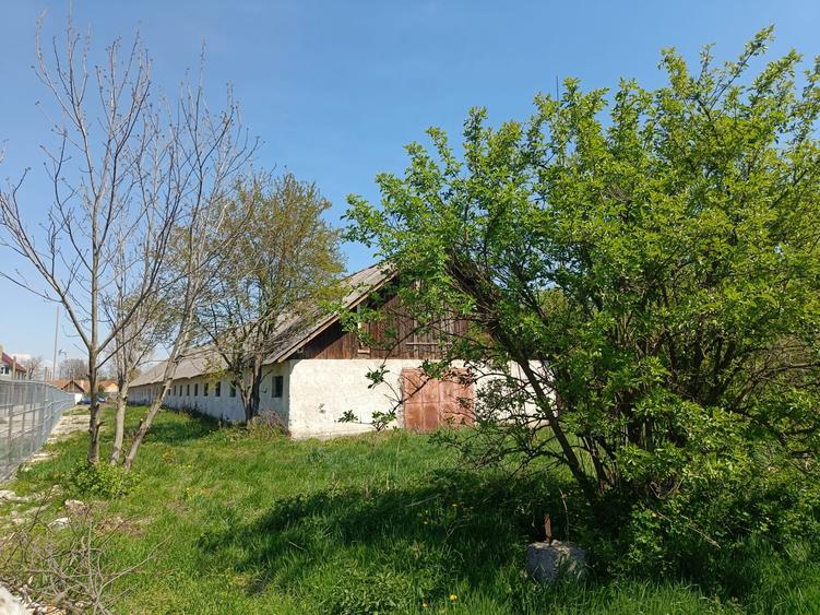 Imobil pretabil depozitare, comert, cladire 1000 mp, teren 3416 mp in BUDILA