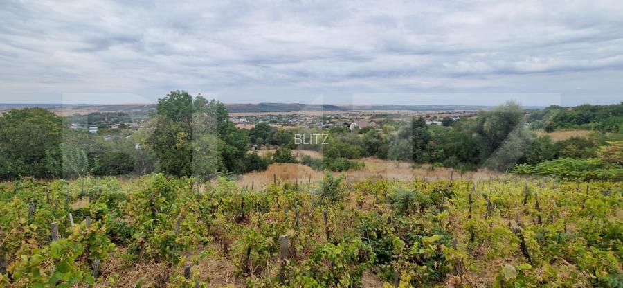 Teren intravilan, 6850 mp, Simnicul de sus