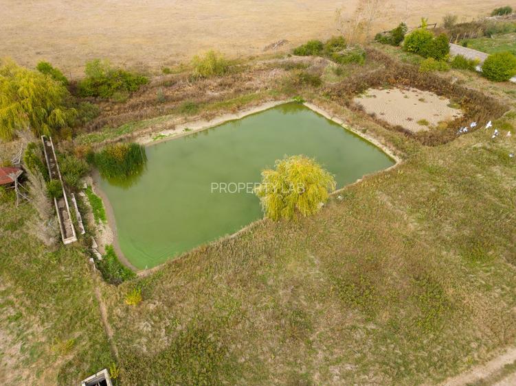 Teren 13.418 mp intravilan cu casă și 2 iazuri - 7