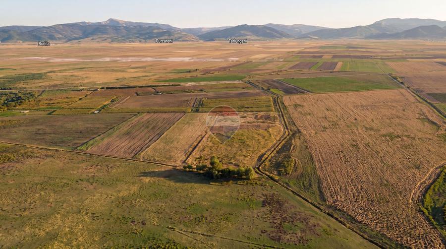 Teren extravilan 44.000 mp (4,4 ha) | Hărman | Comision 0%