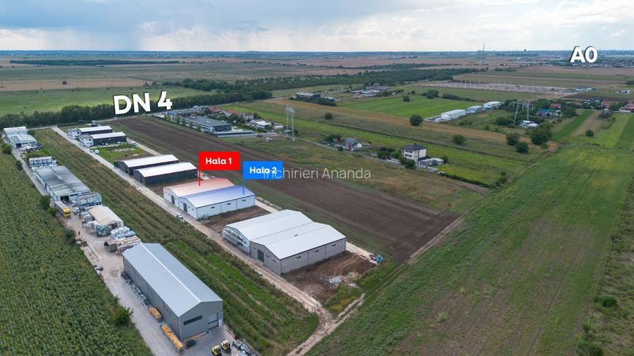 Închiriere Hale Industriale – Frumușani, Județul Călărași - 4