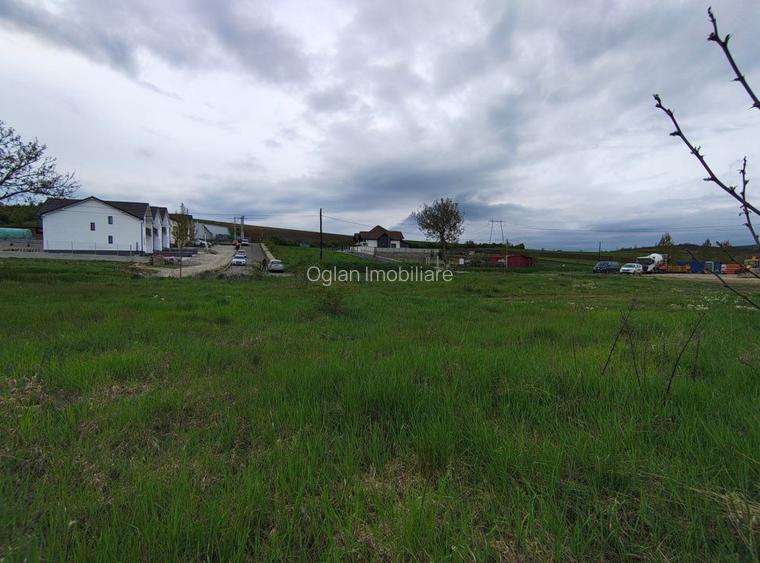 Teren constructie P+M, Sura Mare- Hamba, 717mp, utilitati - 4