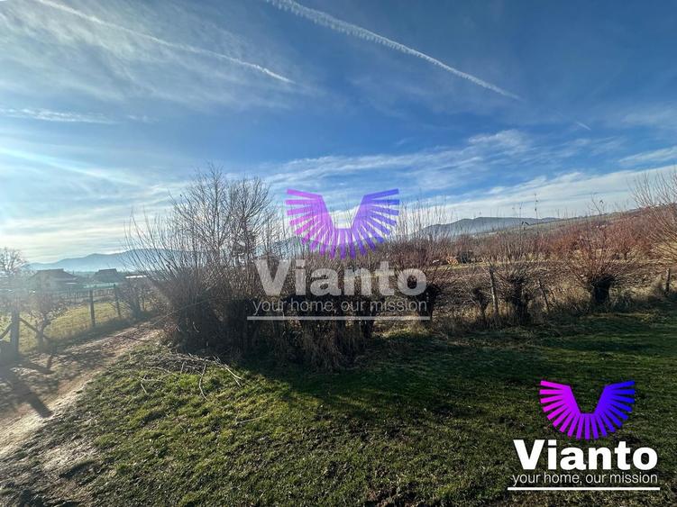 Teren intravilan 500 mp in Rasinari