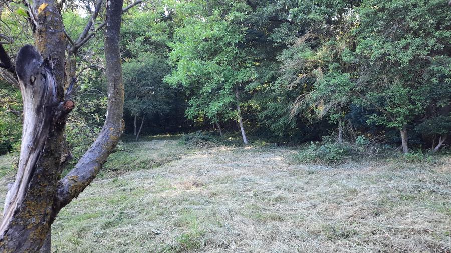 Vand teren intravilan cu toate utilitatile in zona Platou-Cornesti