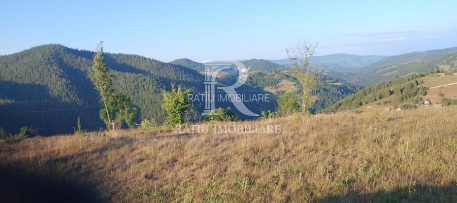 Teren Intravilan | 3.000 mp | Gârda de Sus | Alba | - 2