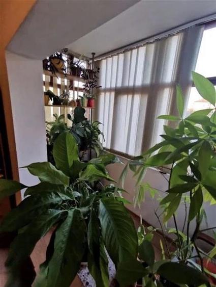 Etaj 2 cu 2 bai in bloc anvelopat, linga Nora