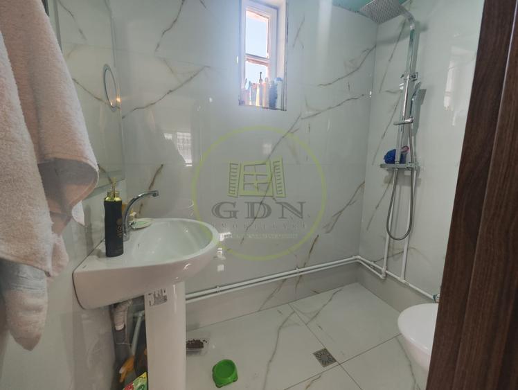 Spatiu comercial 9 camere, casa 2 camere, teren 354 mp, Brestei.