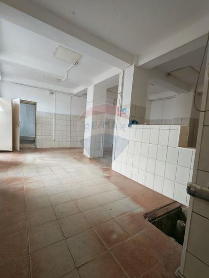 Spațiu comercial 200mp lângă Parcul Romanescu