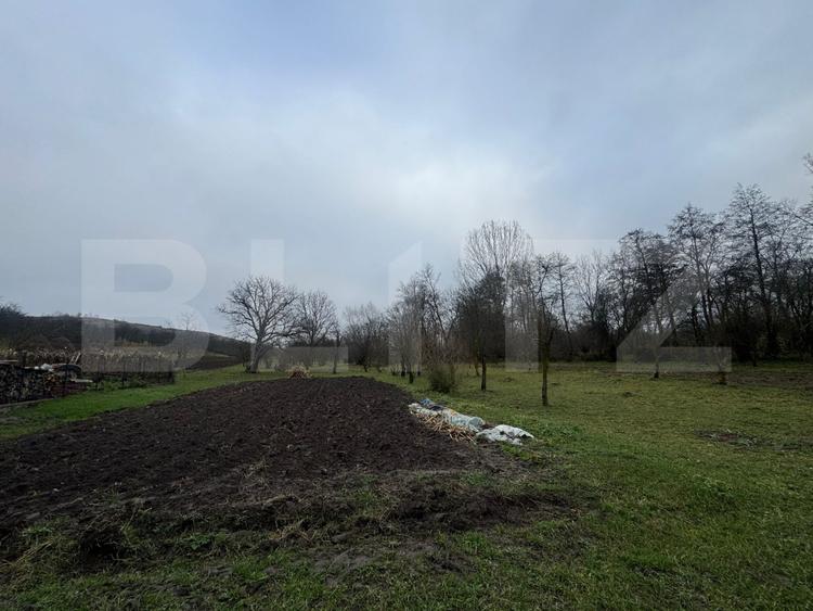 Casa cu 2 camere in Densus, 20 km de Manastirea Prinslop