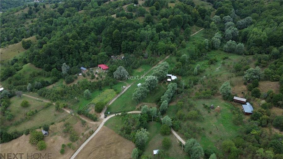 Casa cu teren 5.913 mp de vanzare in Paltin, Vrancea - zona pitoreasca