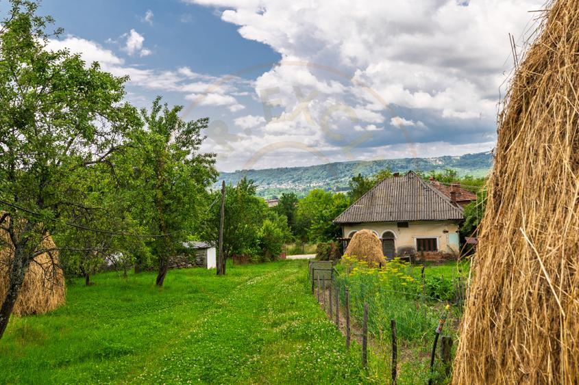 Proprietate de poveste în Corbi, Argeș - Doua case si 6300 mp teren intravilan
