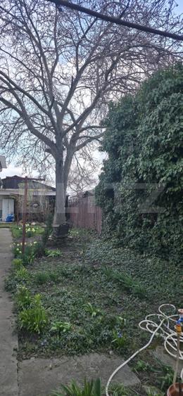 Casa cu 3 camere, curte verde si spatioasa 400 mp,zona Bariera Bucuresti