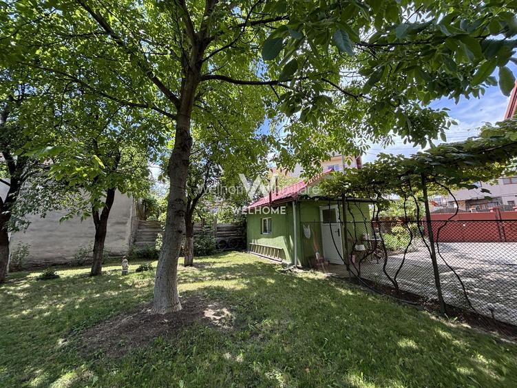 Casă individuală de vânzare în Turnișor | Curte superbă 585 mp - 21