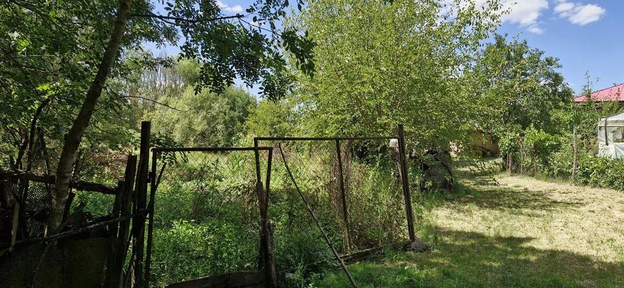 Casa si teren 3000 mp Naipu Giurgiu