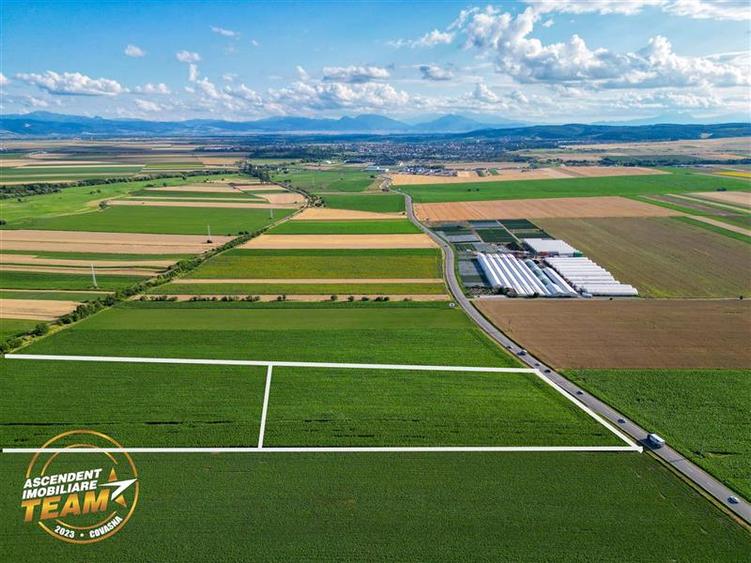 FILM! 30.200 mp teren intravilan,recomandat: investitie/exploatare agricola,Vale