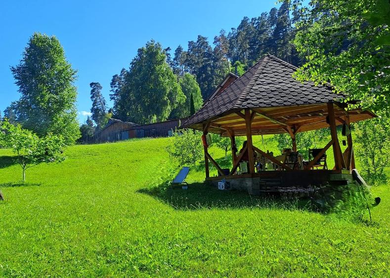 Teren intravilan in Sacele (Brasov), 2000 mp cu livada, foișor, apa, curent