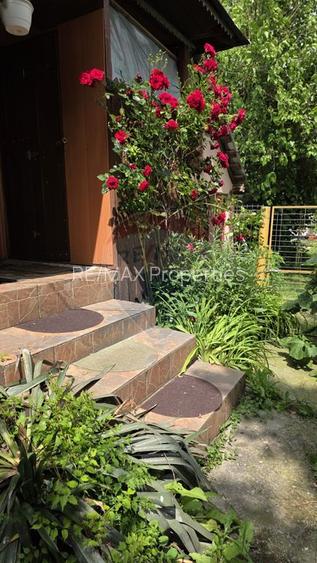 Domeniu rural, gospodarie/multifunctionala cu casa, livada, vie - 42